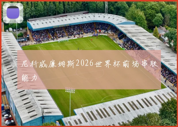 尼科威廉姆斯2026世界杯前场串联能力