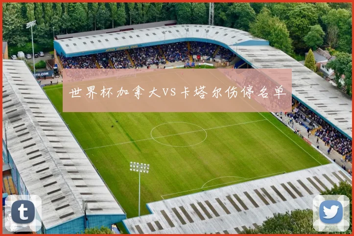 世界杯加拿大vs卡塔尔伤停名单